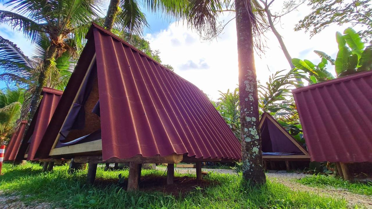 Base Camp, Guest House, Surf House , Itamambuca, Ubatuba Extérieur photo